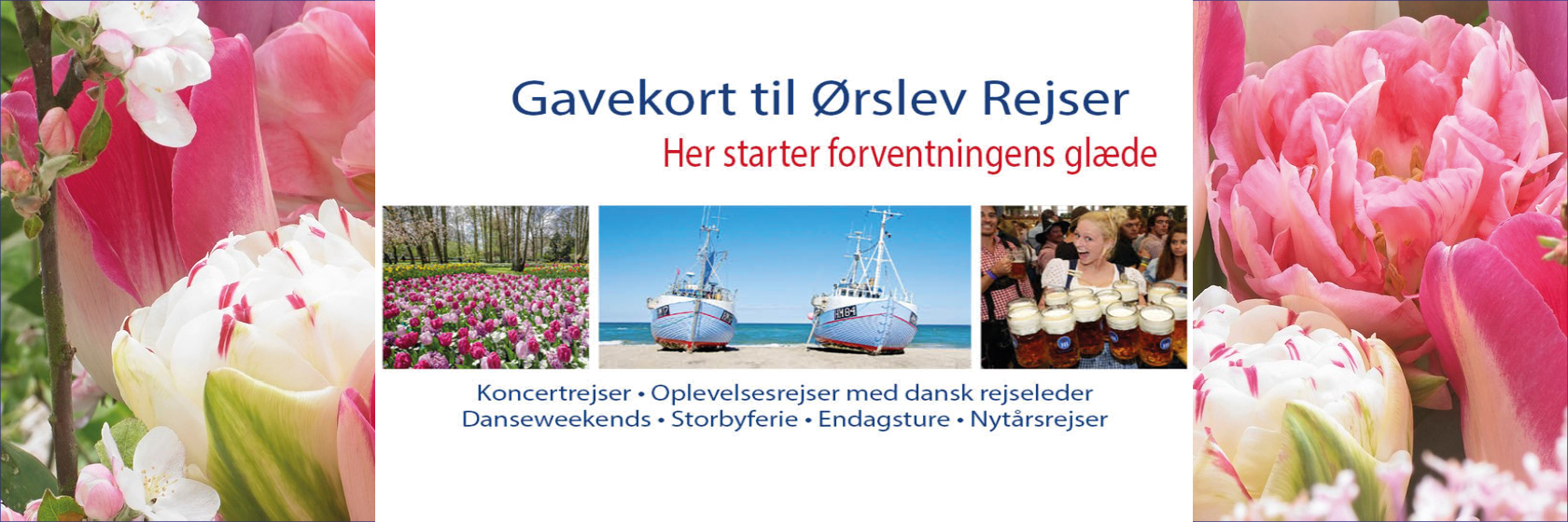 Giv en rejseoplevelse